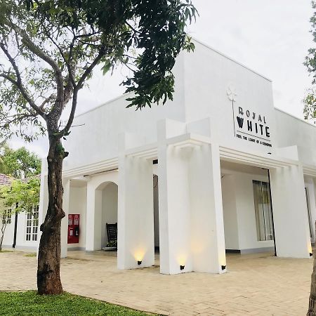 Hotel Royal White Tourist Rest Anuradhapura Zewnętrze zdjęcie