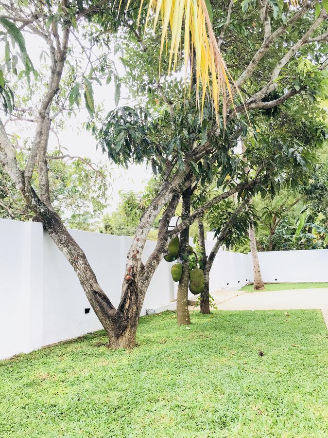 Hotel Royal White Tourist Rest Anuradhapura Zewnętrze zdjęcie