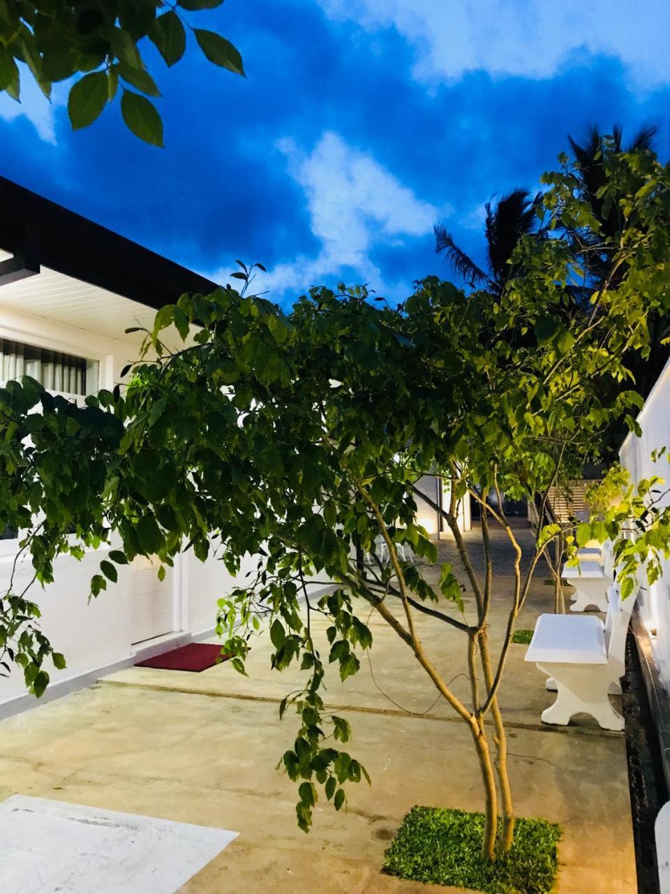 Hotel Royal White Tourist Rest Anuradhapura Zewnętrze zdjęcie
