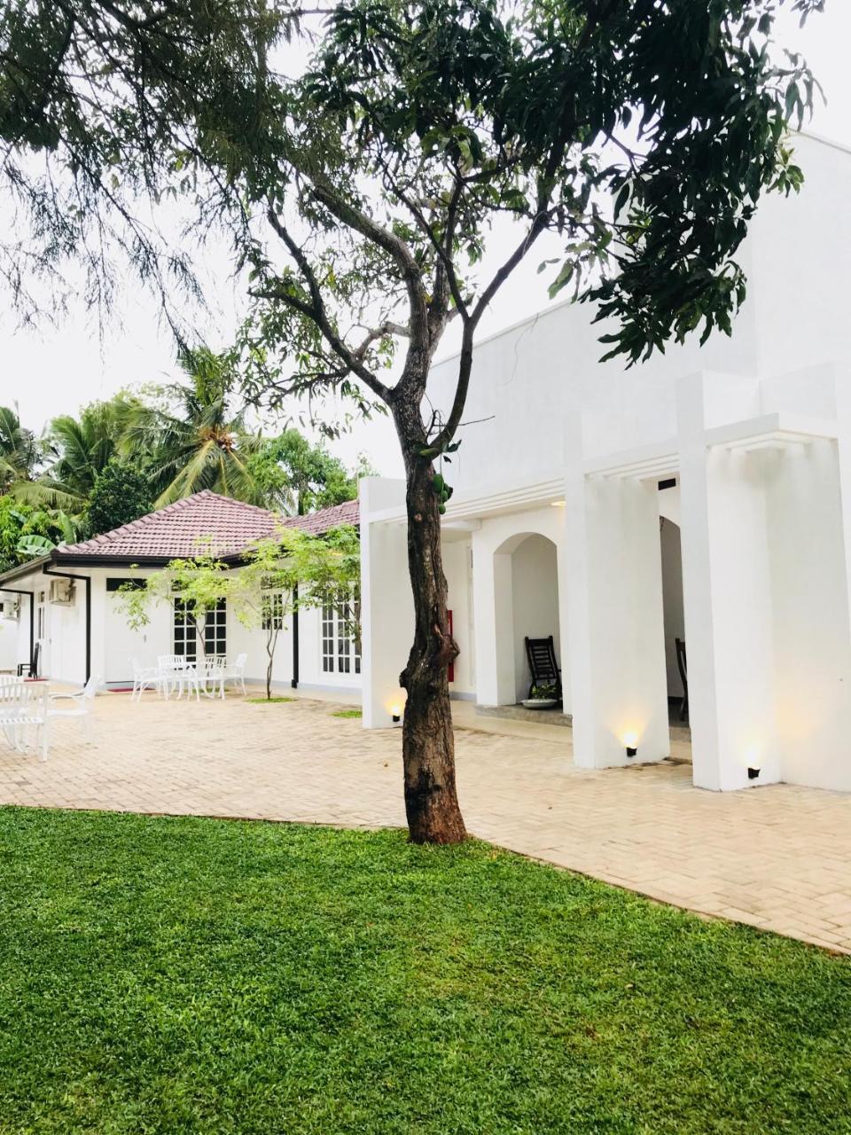 Hotel Royal White Tourist Rest Anuradhapura Zewnętrze zdjęcie