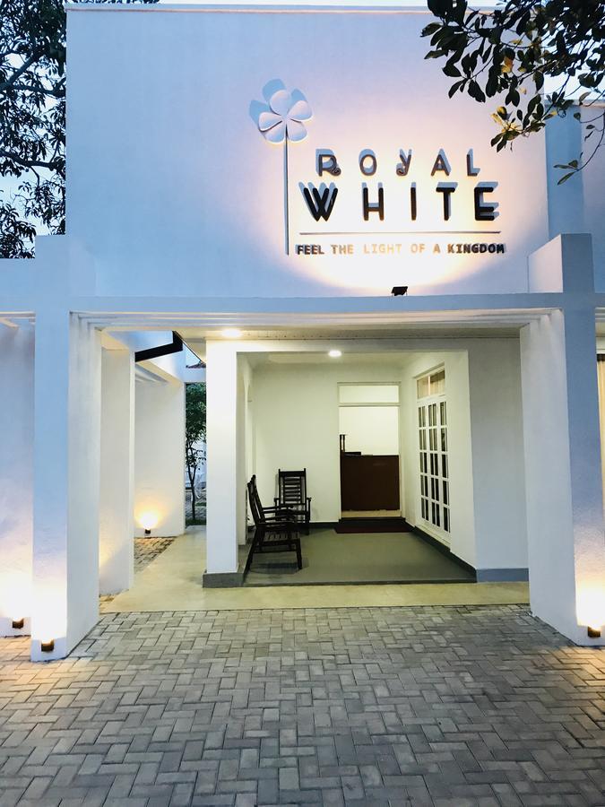 Hotel Royal White Tourist Rest Anuradhapura Zewnętrze zdjęcie